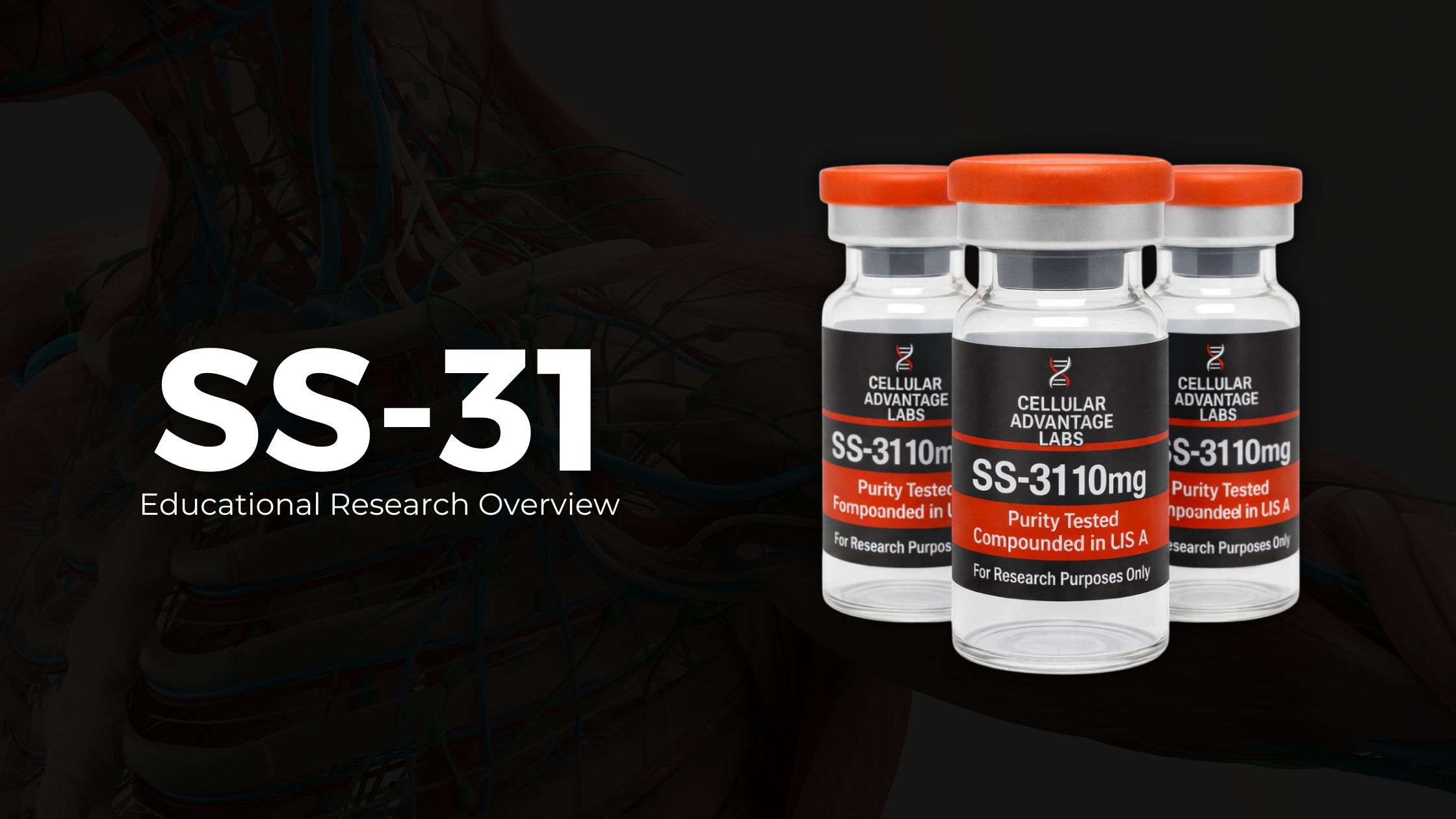 SS-31 (Elamipretide): Complete Guide to Benefits, Dosage, Injection Sites, Side Effects & Expected Results